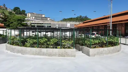 Retrofit dos Galpões da Gamboa – Ação da Cidadania – foto 13